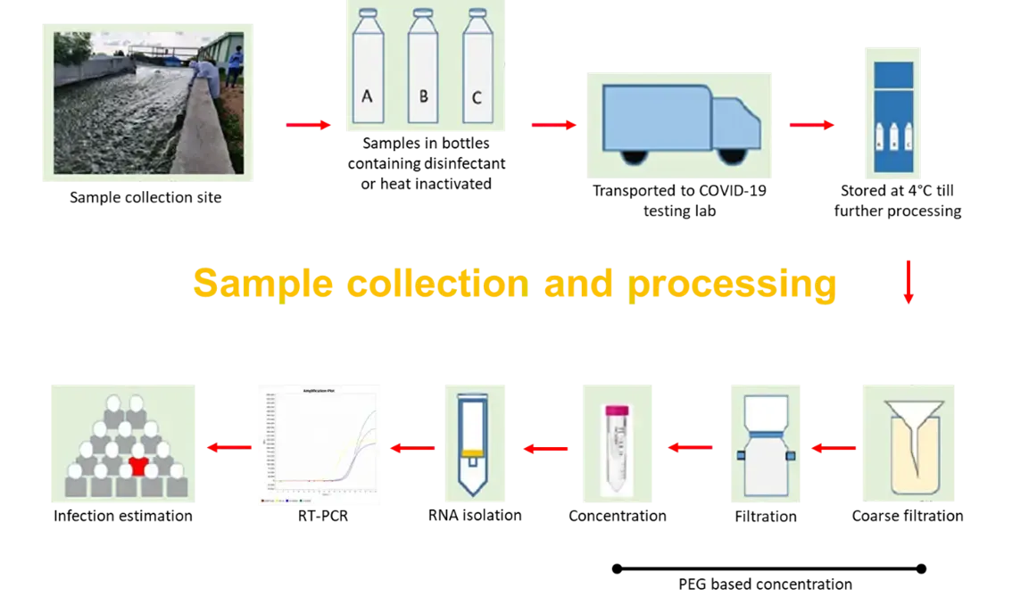 methodology for pathogen DNA extraction