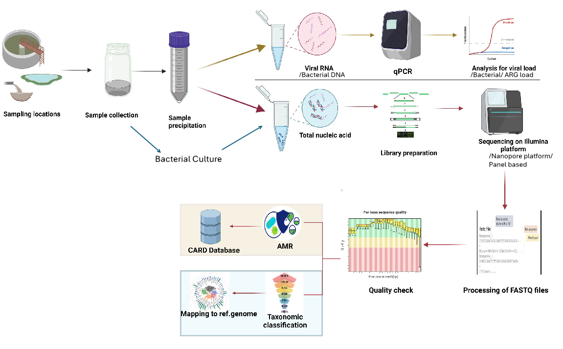 Protocol Image